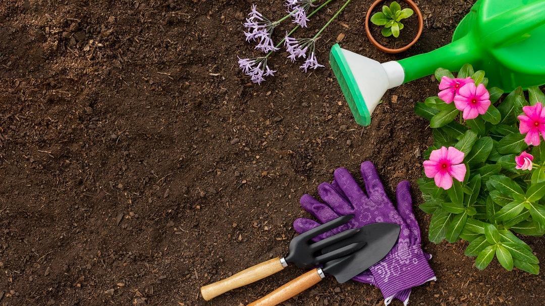 How To Start A Gardening Business In South Africa
