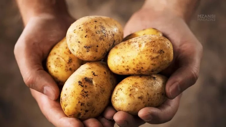 How to Grow Potatoes Without Soil: An Innovative Approach